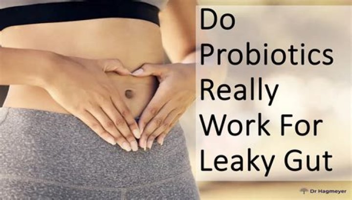 Do probiotics really work for dogs?