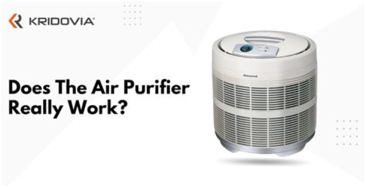 Does air purifiers really work?