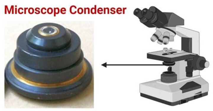 Does condenser increase contrast?