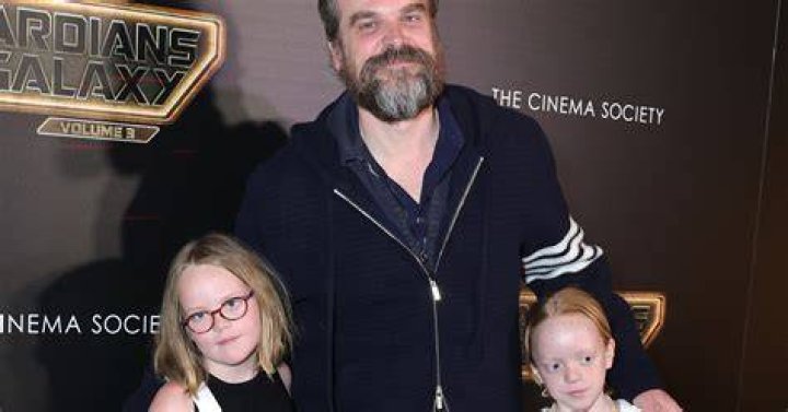 Does David Harbour have children?