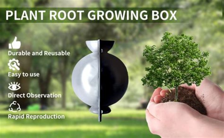 Does the plant root growing box really work?