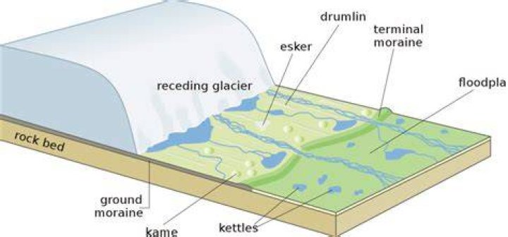 How did glaciers form drumlins?