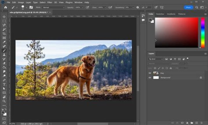 How do I use Adobe Photoshop Elements 7?