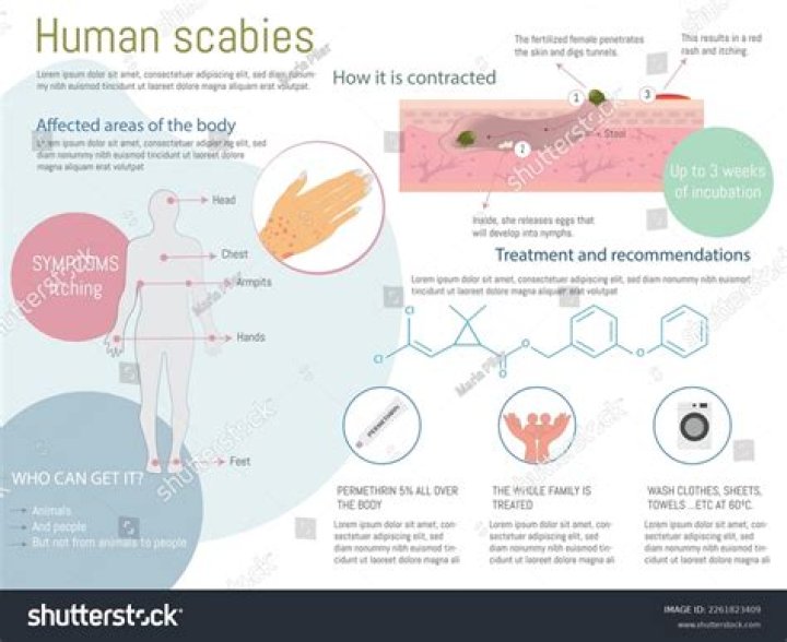 How do people get scabies?