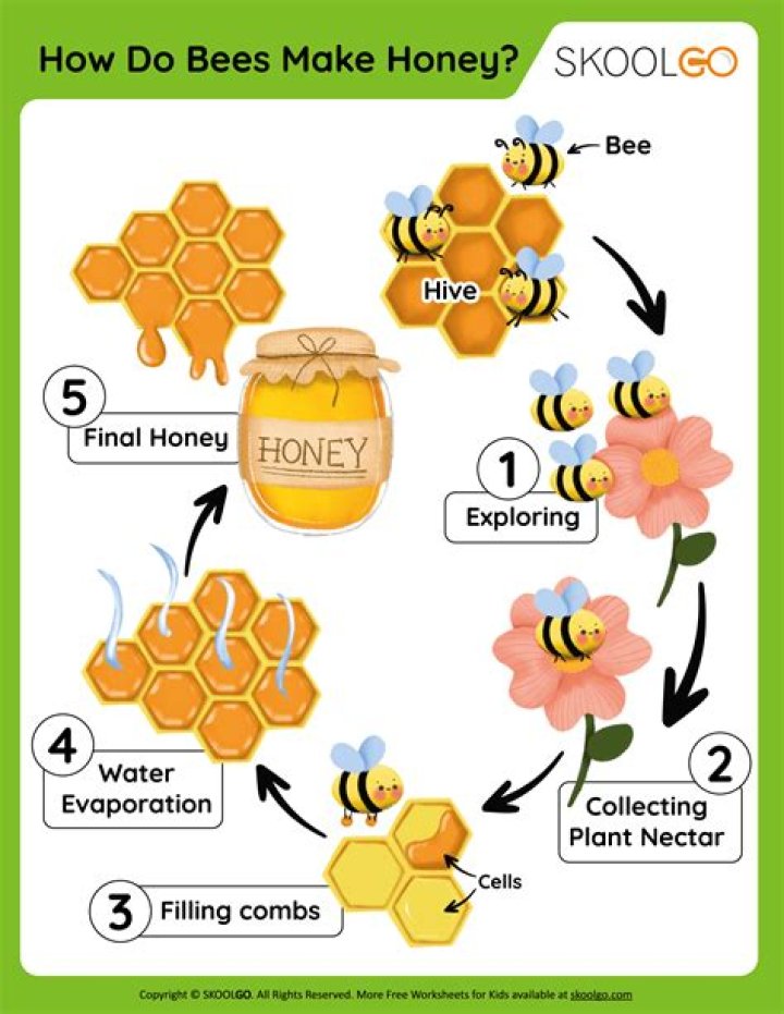 How do rectennas work?