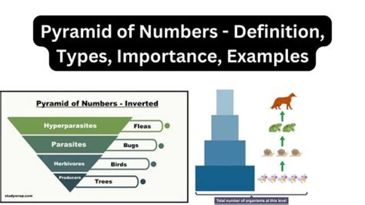 How do you define a pyramid in math?