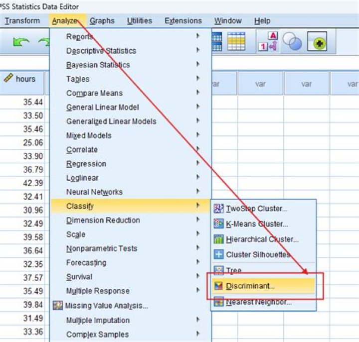 How do you do a linear discriminant analysis in SPSS?