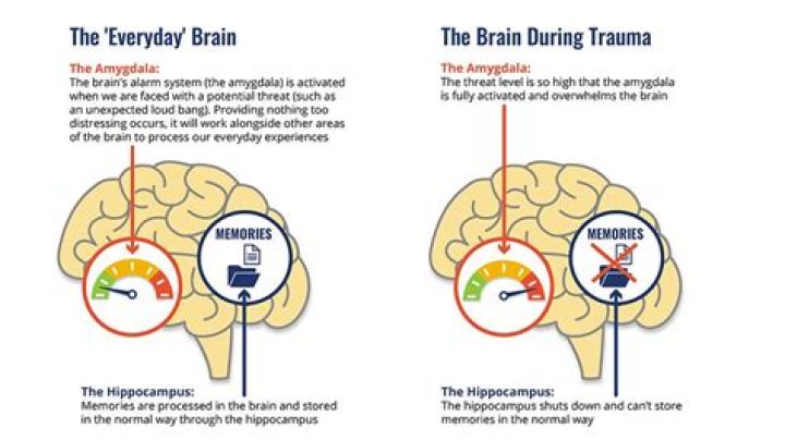 How does traumatic brain injury affect language?