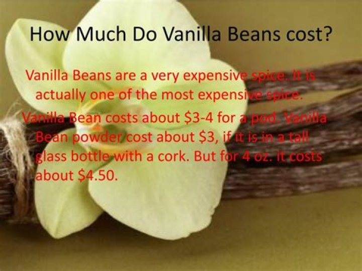 How much do vanilla beans cost?