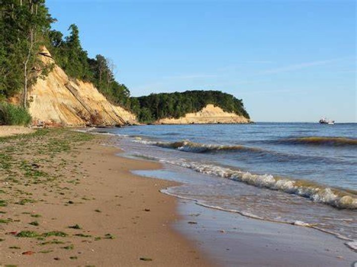 Is Calvert Cliffs beach open?