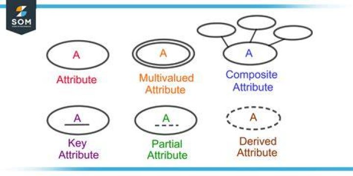 What are database attributes?