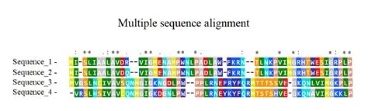 What are the different methods of scoring multiple sequence alignments?