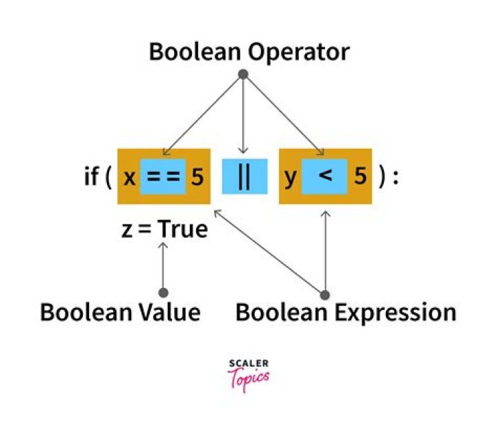 What do boolean values represent?