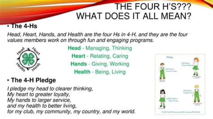 What does 4h stand for?