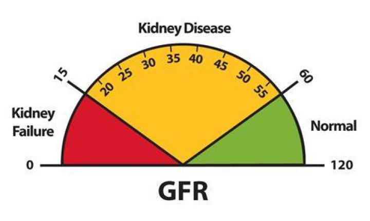 What does a lower than normal GFR mean?