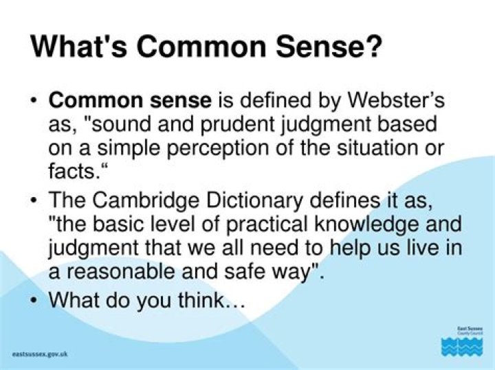 What does commonsensical mean?