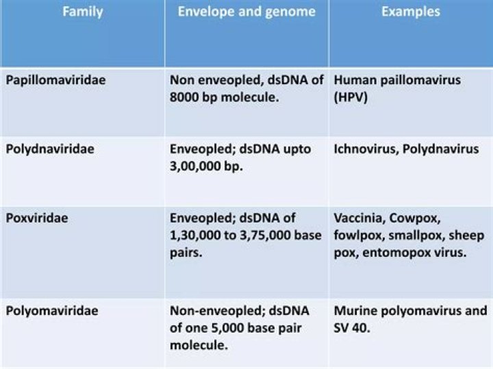 What does PolyDNAvirus do?