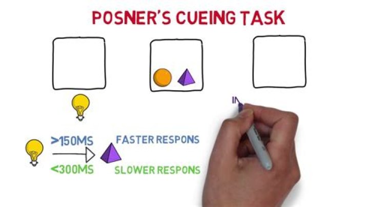 What does Posner cueing task show?