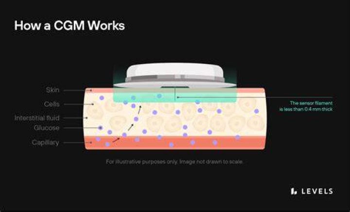 What does the CGMs measure?
