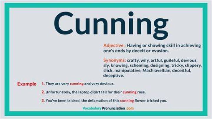 What does the word cunning?