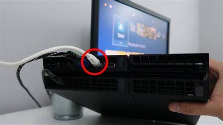 what is a lan cable for ps4?