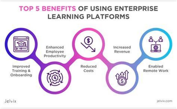 What is a learning support program?