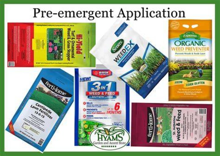 What is a pre emergent reader?
