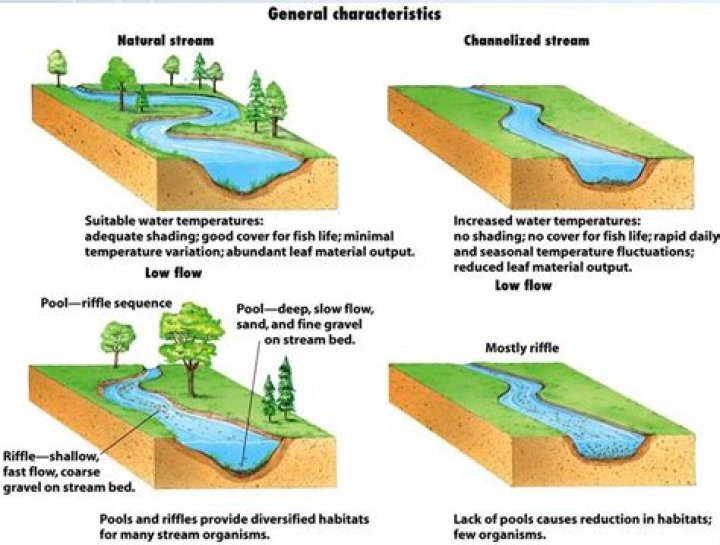What is river channelisation?