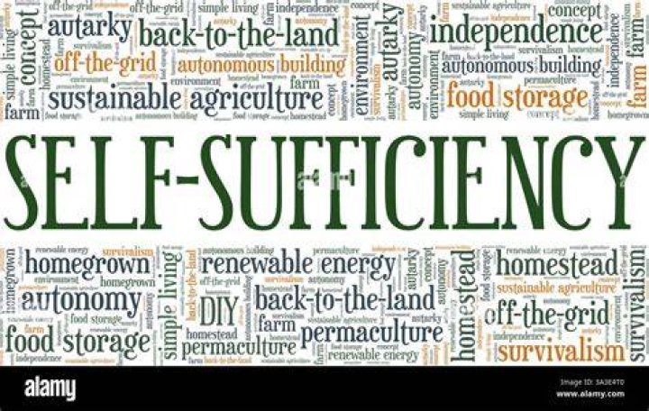 What is self-sufficiency short answer?