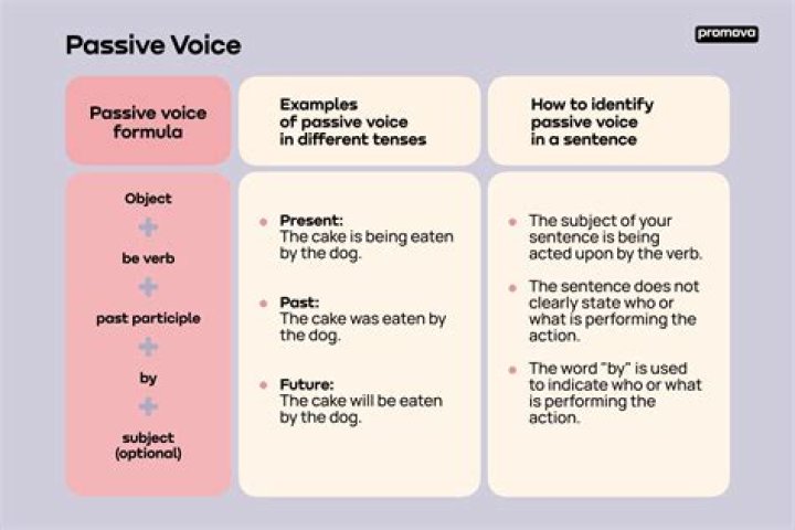 What is stative passive with examples?