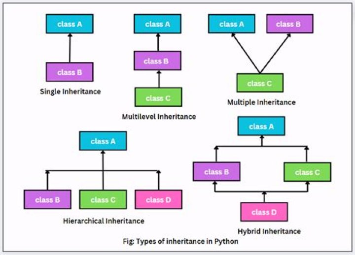 What is the difference between list and array C#?