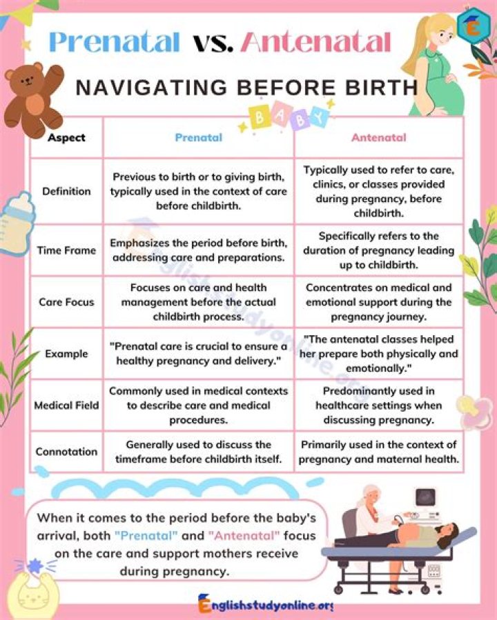 What is the difference between postnatal and perinatal?