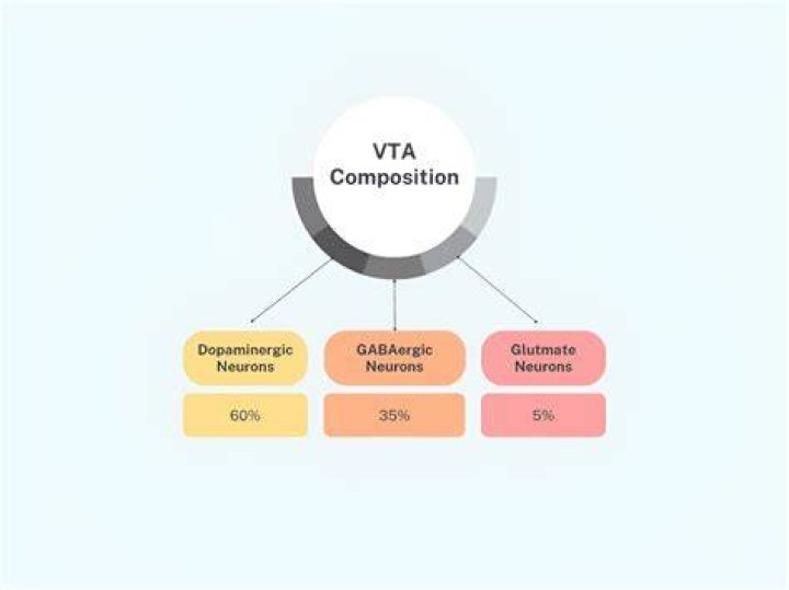 What is the ventral tegmentum?