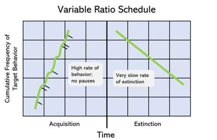 What makes a variable ratio schedule effective?