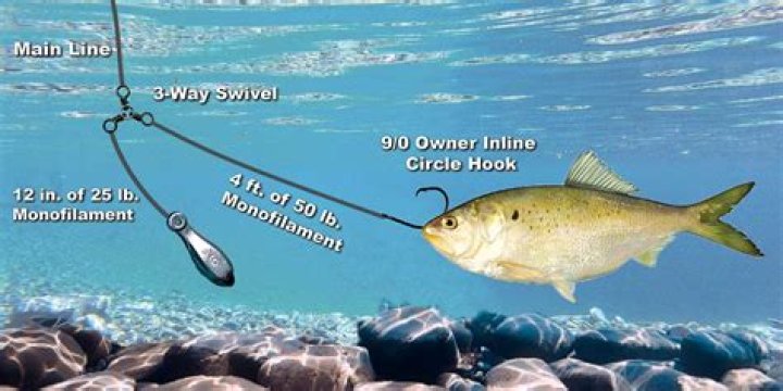 What size is Mojo pole?