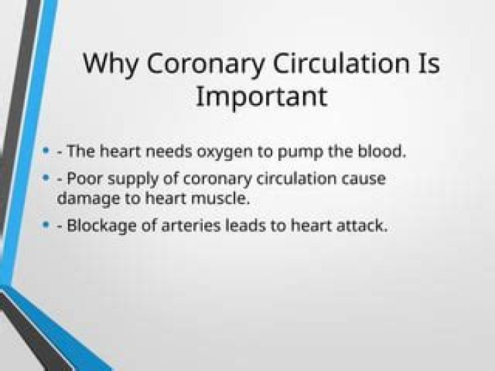 Why coronary circulation is important?