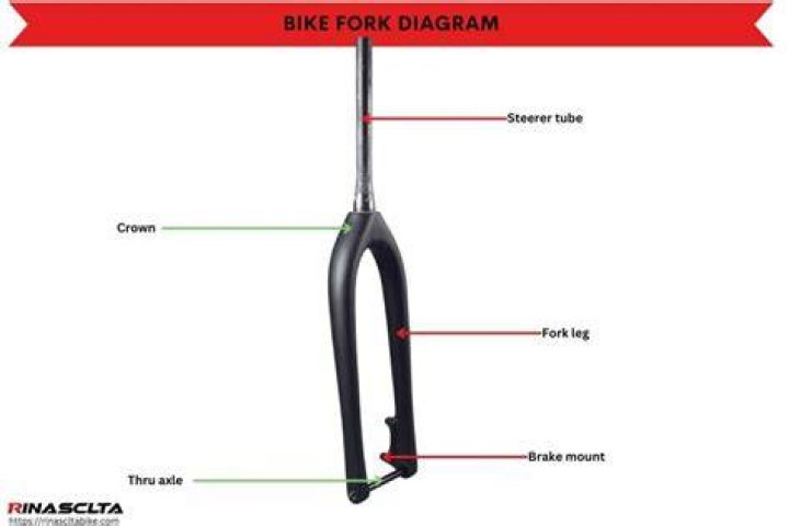 Why do some bikes have one fork?