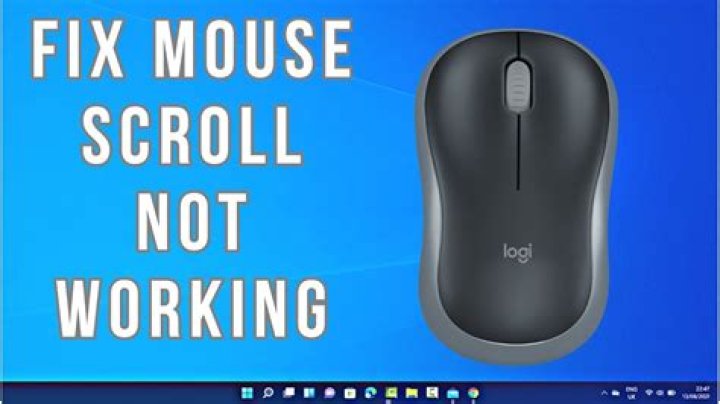 Why is scroll view not working?